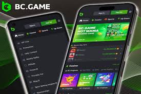 Understanding the Privacy Policy of BC Game A Comprehensive Guide Understanding the Privacy Policy of BC Game A Comprehensive Guide